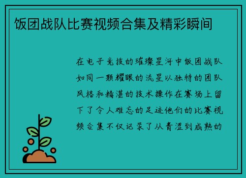 饭团战队比赛视频合集及精彩瞬间